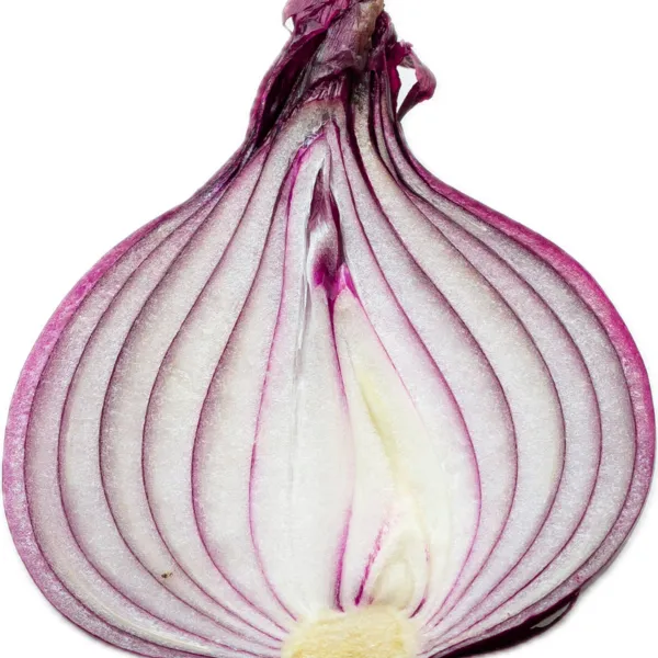 Ljubičasti luk